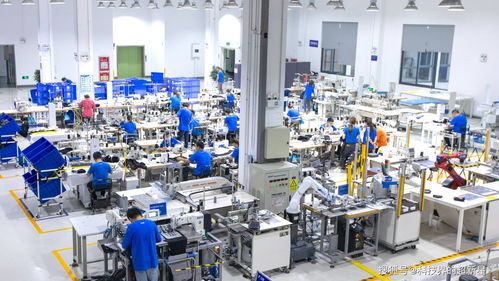 捂了三年，阿里的犀牛工廠到底在“織”什么？